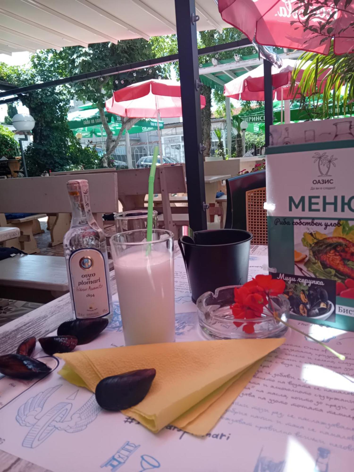 Guesthouse Oasis Kiten  Εξωτερικό φωτογραφία
