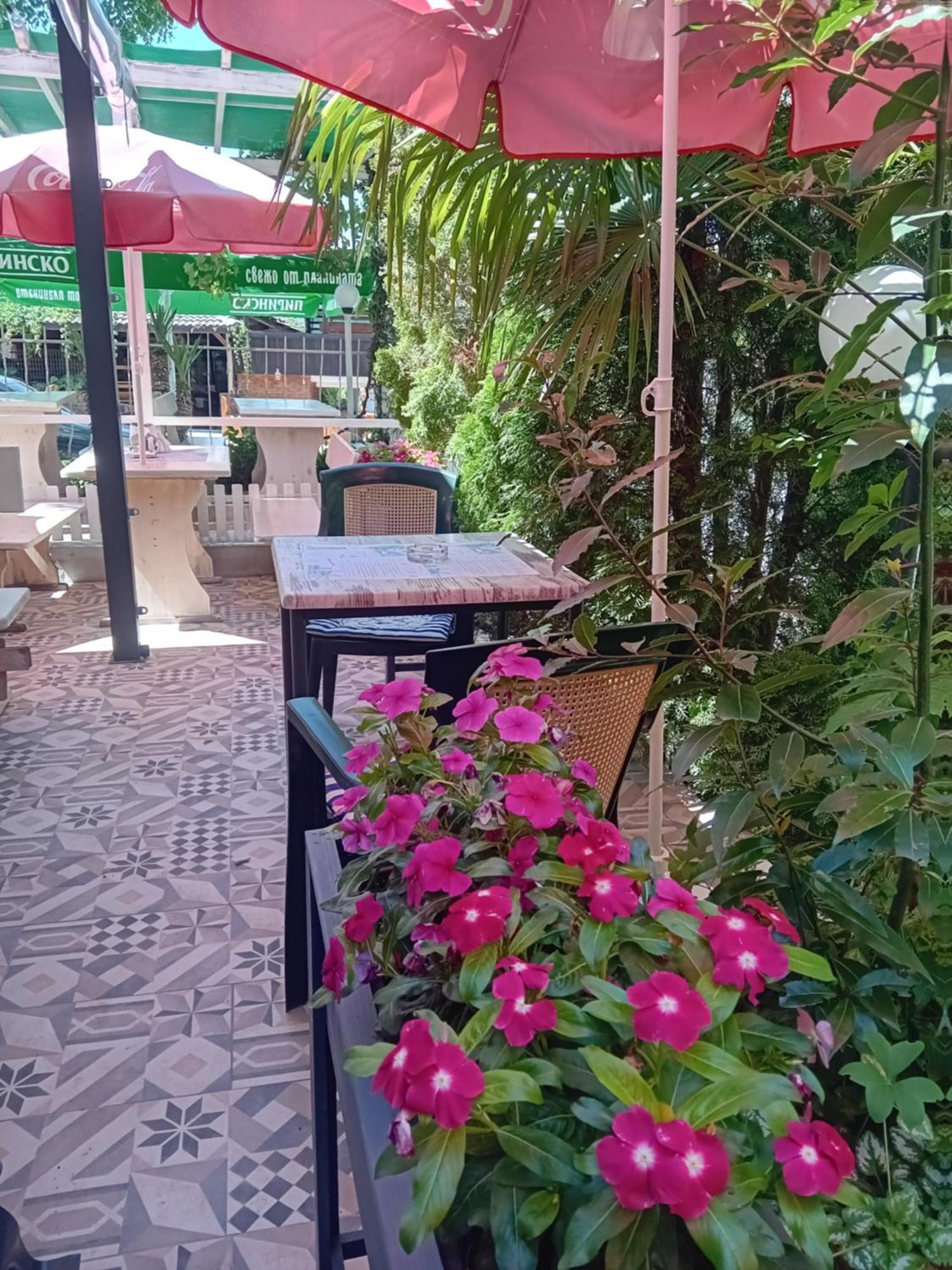 Guesthouse Oasis Kiten  Εξωτερικό φωτογραφία